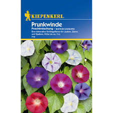 Image result for Prunkwinde