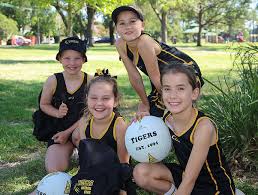 Image result for Lawn Netball Club