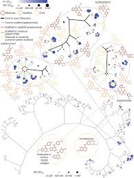 Attēlu rezultāti vaicājumam “Diderma ochraceum plasmodium”