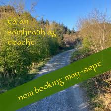 Image result for Dublin Backgammon Club