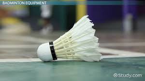 Image result for Team 2000 Badminton Club
