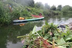 Image result for Viking Kayak Club, Bedford