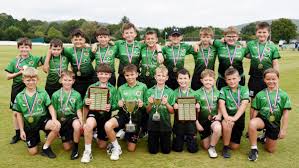 Image result for Ammanford Cricket Club