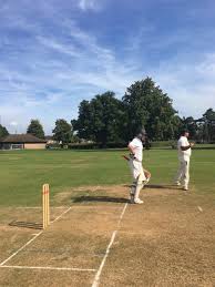 Image result for Ifield Cricket Club
