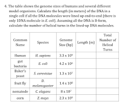 Image result for genome sizes