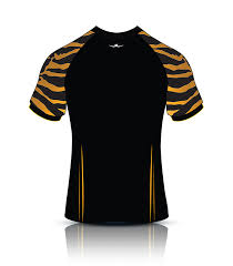 Image result for Luctonians Cricket Club