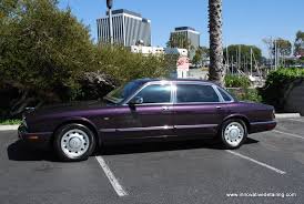 Image result for Amananth Purple 1998 Jaguar