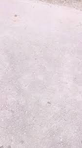 Image result for Holmans Smbc