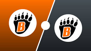 Image result for Phoenix Royals F C