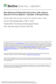 Attēlu rezultāti vaicājumam “Dictenidia bimaculata male”