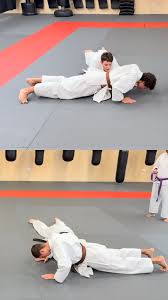 Image result for Seiki Juku Karate Club