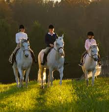 Image result for Cirencester Park Polo Club