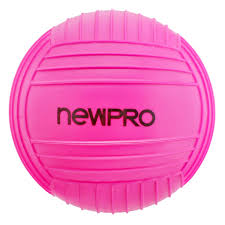 Image result for rosa aquatica