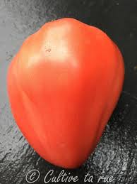 Afbeeldingsresultaat voor erdie family oxheart tomato