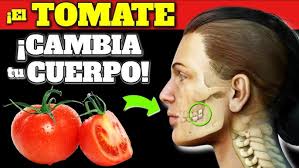 Image result for Tomate