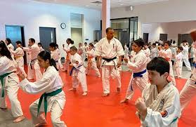 Image result for Kyokushin Karate