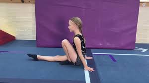 Image result for Weston Aerobic Gymnastics Club