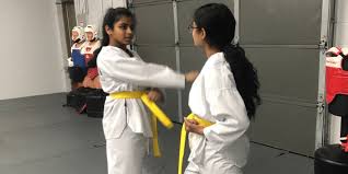 Image result for COMBAT TAEKWONDO