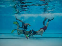 Image result for Portsmouth Octopush Club