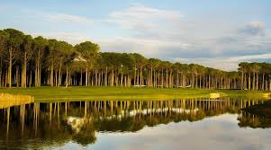 Attēlu rezultāti vaicājumam “Carya”