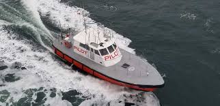 Image result for skiptondivers