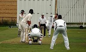 Image result for Valley End Cricket Club