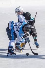 Image result for Sheffield Wildcats Rink Hockey and Roller Skating Club