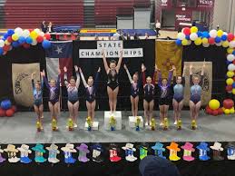 Image result for Elite Recreational Gymnastics Club