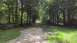 Image result for Cambridge Rambling Club