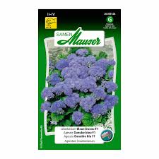 Image result for Leberbalsam