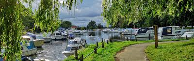 Image result for Beccles Town Sc