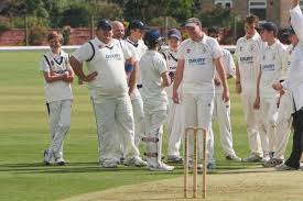 Image result for Gilberdyke Cricket Club