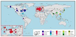 Attēlu rezultāti vaicājumam “Poecilochirus sp.”