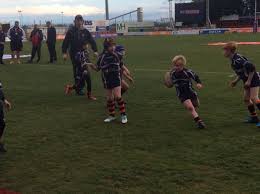 Image result for Holderness Vikings Amateur Rugby League Football Club