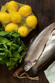 Image result for Bagre marinus