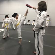 Image result for Awesome Martial Arts Training Center