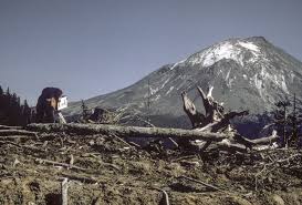 Image result for St Helens Miners