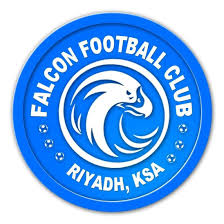 Image result for Falcon Sa Club