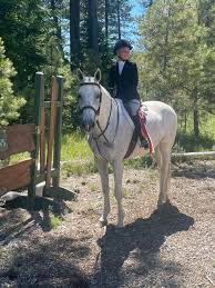 Image result for Elstead Riding Club