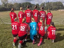 Image result for Chipstead Fc