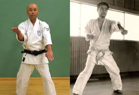 Image result for Sandokai Karate