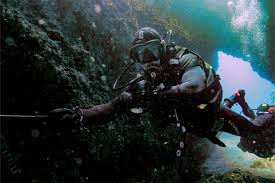 Image result for Richmond Sub-Aqua Club