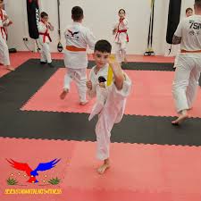 Image result for Swansea Taekwondo Club