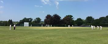 Image result for West Chiltington & Thakeham Cc
