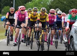 Image result for Colchester Ibc