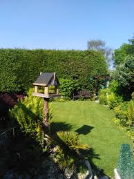 Image result for Owermoigne Cricket Club