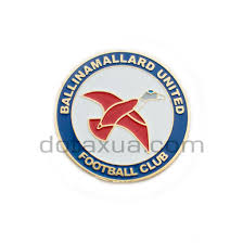Image result for Ballinamallard United Football Club