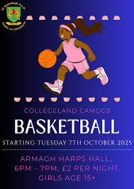 Image result for Collegeland O`rahillys Gaelic Football Club