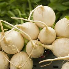 Image result for Raphanus sativus ssp. Oleiformes