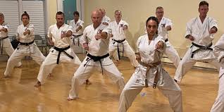 Image result for Thames Valley Karate